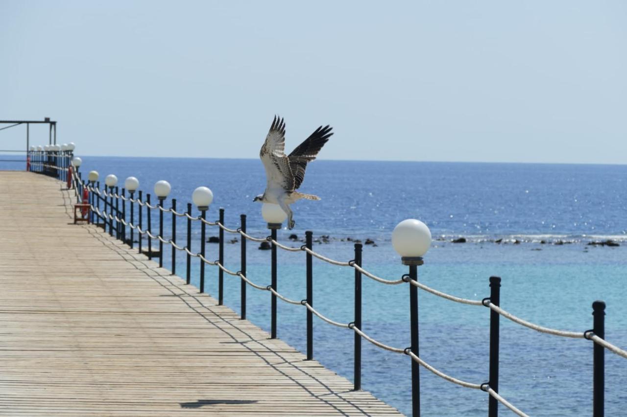 Wadi Lahmy Azur Resort - Soft All-Inclusive Abu Ghusun Exterior photo